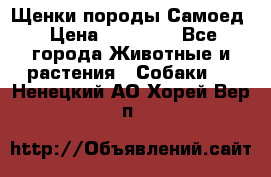 Щенки породы Самоед › Цена ­ 20 000 - Все города Животные и растения » Собаки   . Ненецкий АО,Хорей-Вер п.